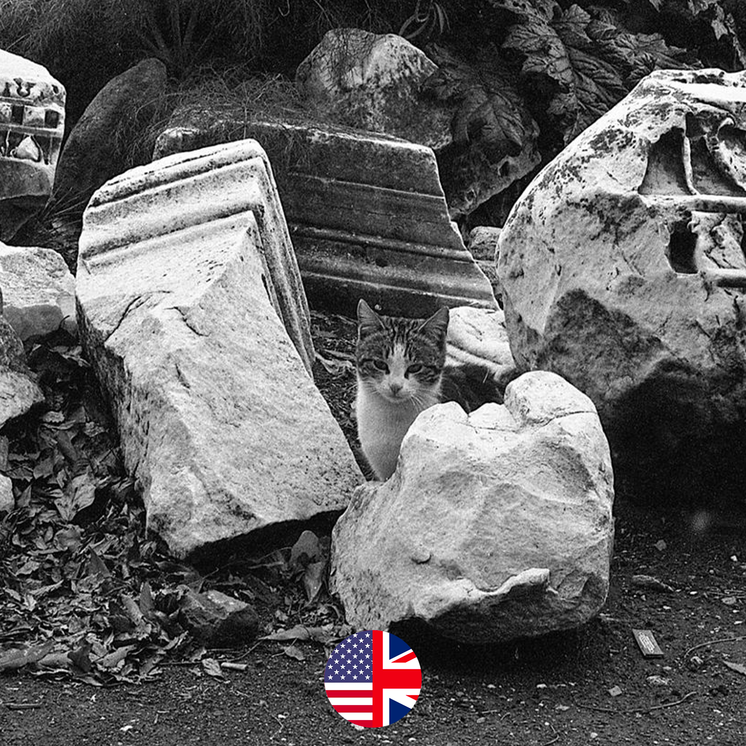 Accesso alla guida in inglese